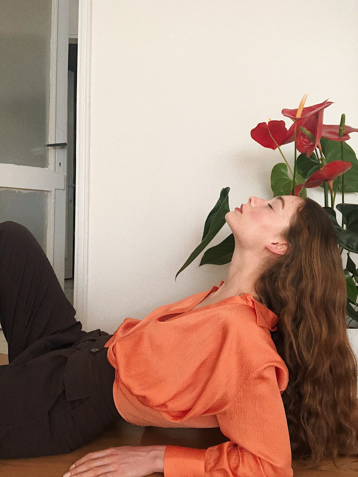 KAYISI LALA TOP / LALA BLUZ